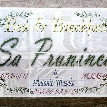 Bed and Breakfast Sa Pruninca Villanova Monteleone Exteriér fotografie